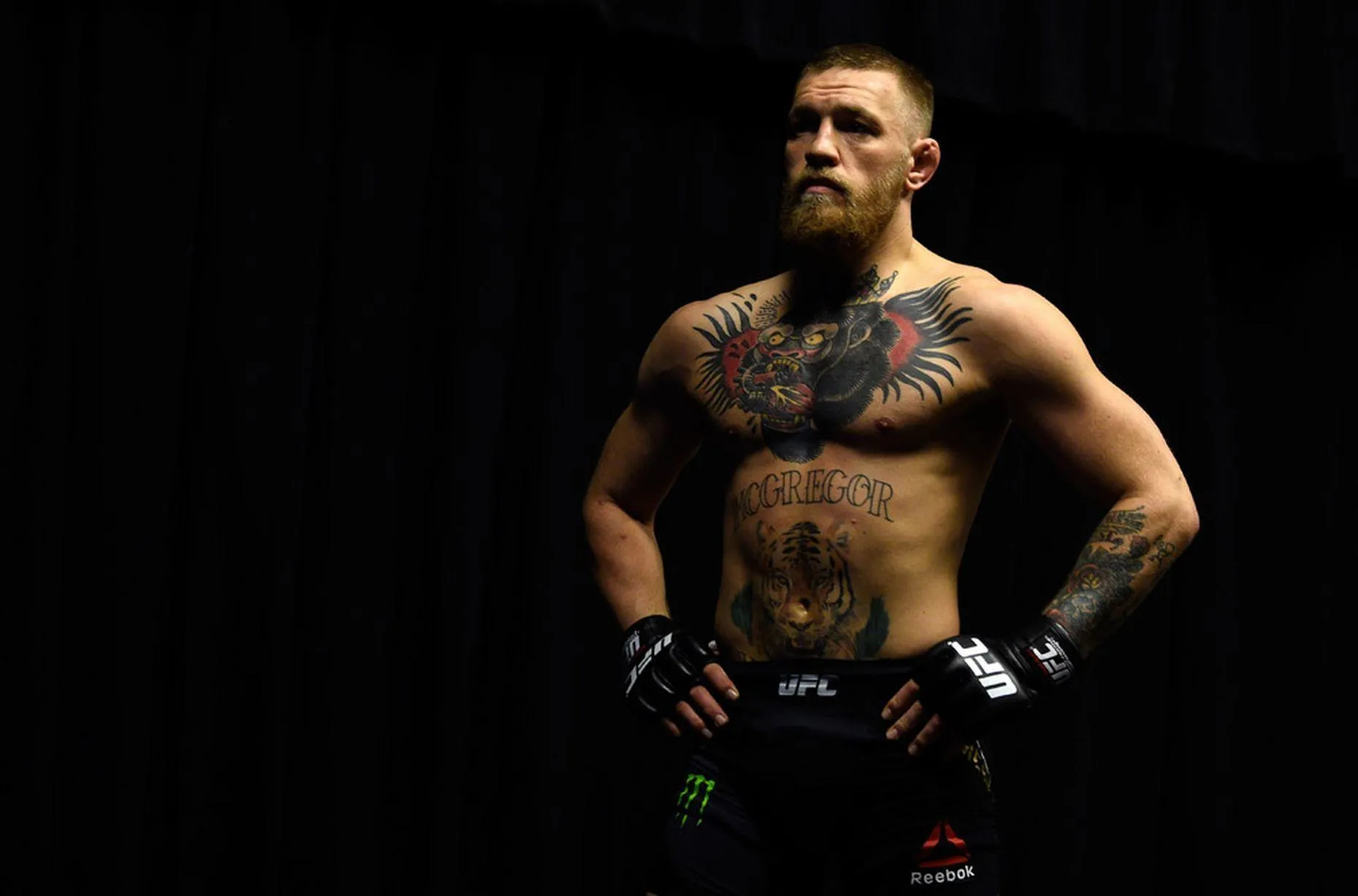 Káº¿t quáº£ hÃ¬nh áº£nh cho conor mcgregor wallpaper