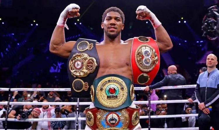 Kết quả hình ảnh cho anthony joshua vs andy ruiz 2