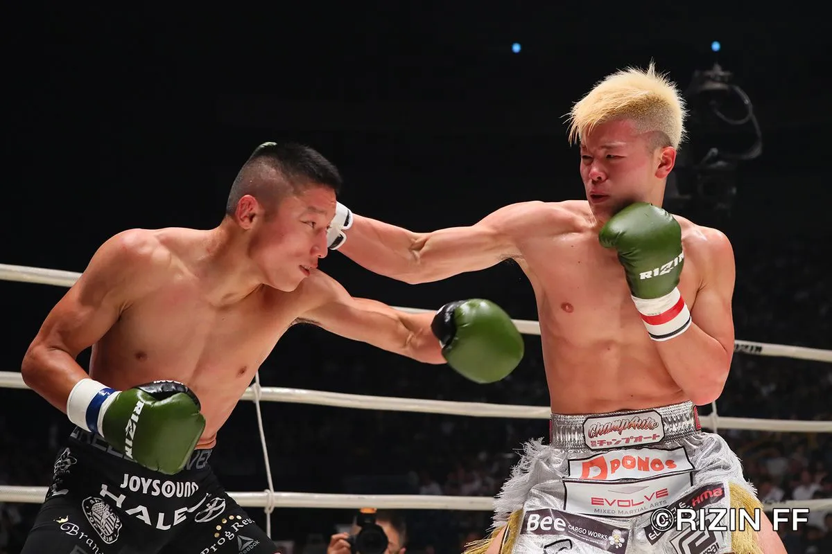 Káº¿t quáº£ hÃ¬nh áº£nh cho tenshin nasukawa