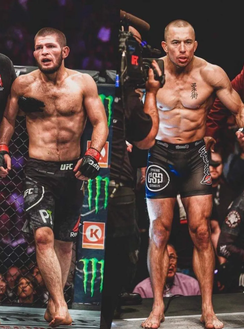 Káº¿t quáº£ hÃ¬nh áº£nh cho georges st pierre vs khabib nurmagomedov