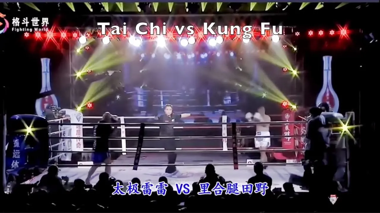 Kết quả hình ảnh cho Lei Lei vs Tien Ye Martial Arts