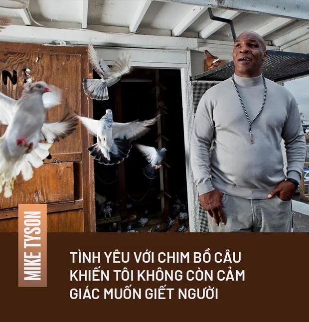 Mike Tyson và sợi dây liên kết khó tin với những chú chim bồ câu: Là mối tình đầu, là cứu cánh trong giai đoạn tăm tối mà chỉ muốn giết người - Ảnh 3.