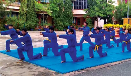 Kết quả hình ảnh cho Vovinam Tiền Giang"