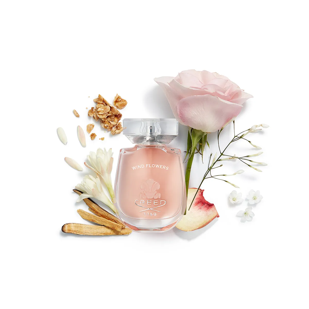 Wind-Flowers-Ingredients-0225