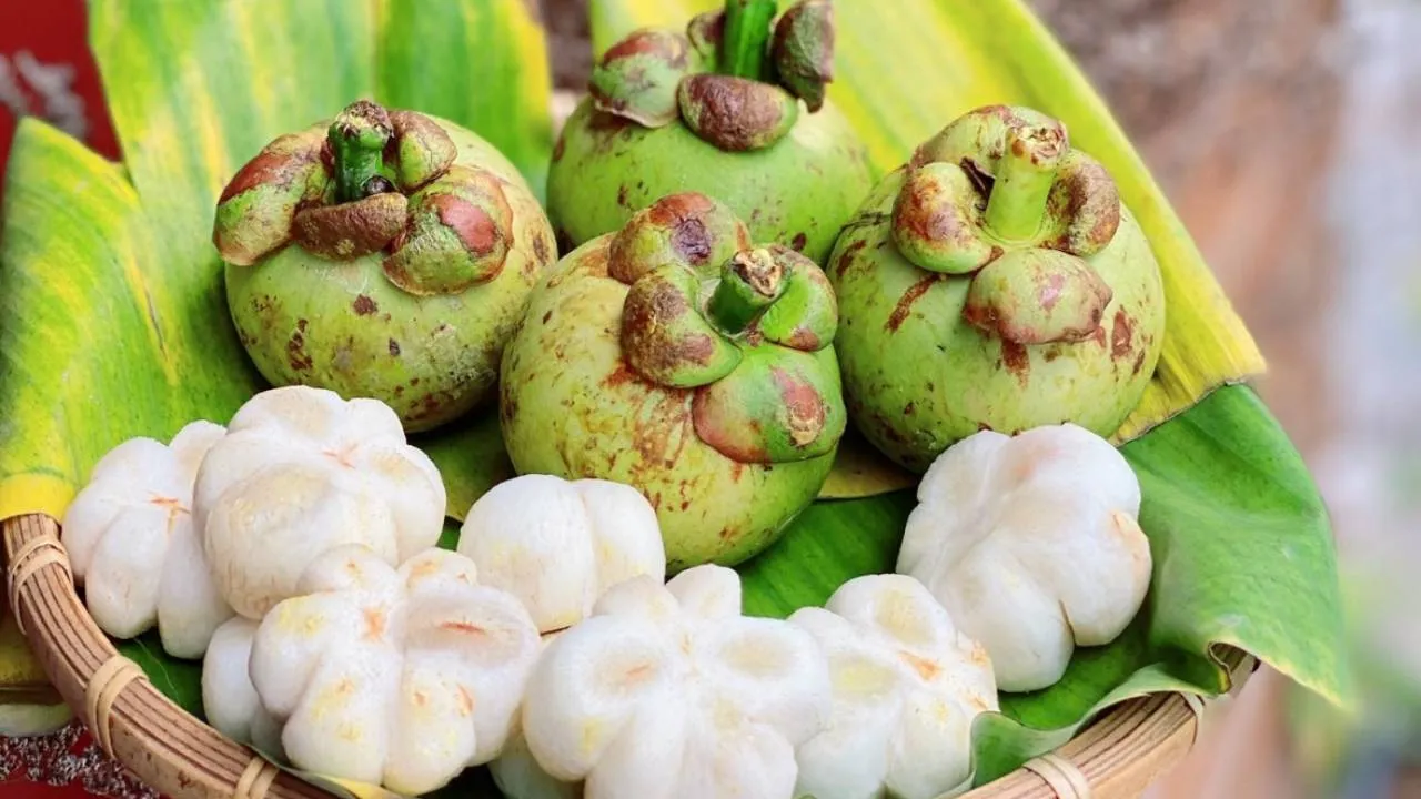 Dự án mới (5)