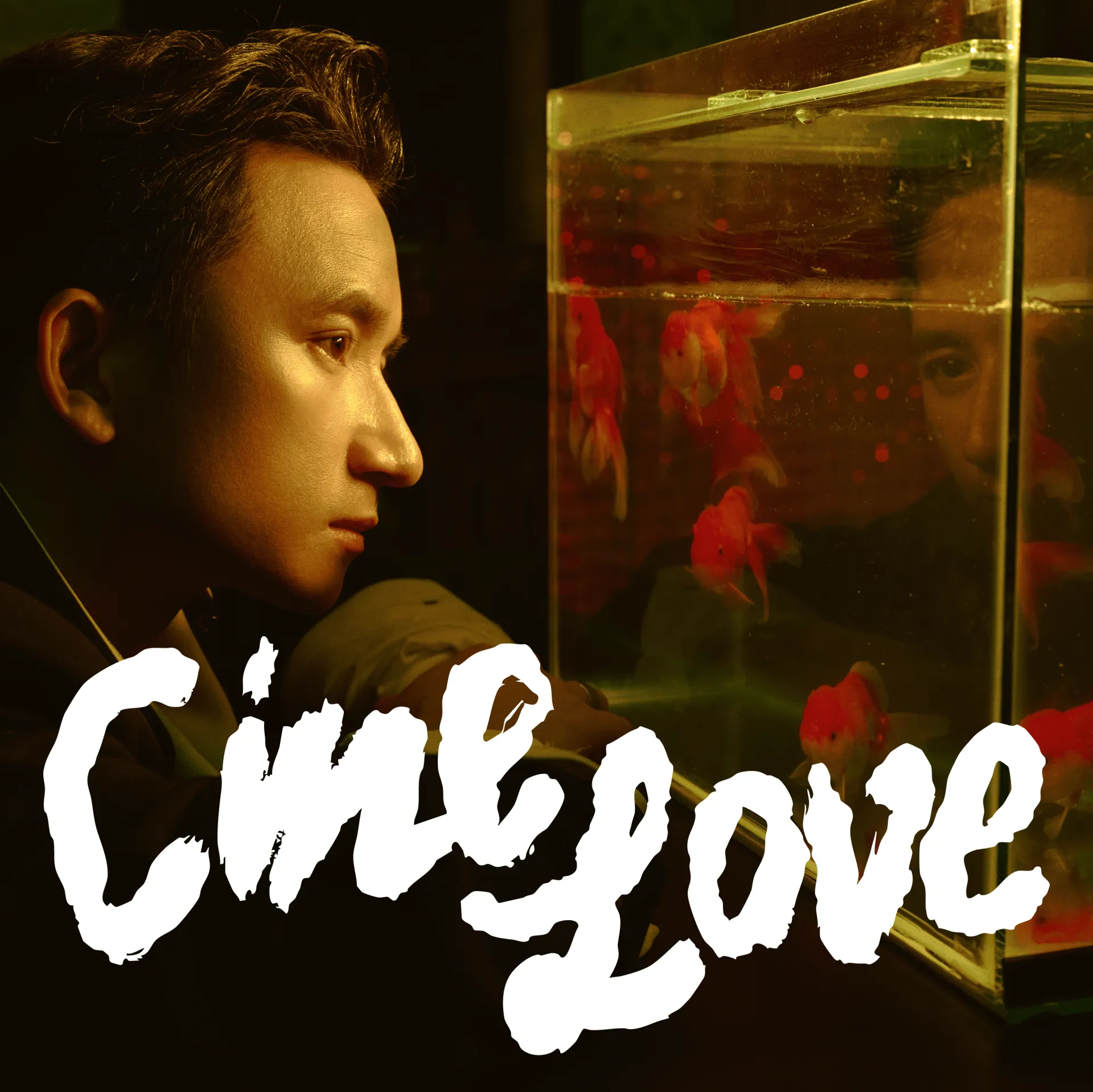 PMQ_Cinelove_AlbumCover-min