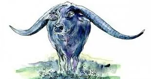 images (12)
