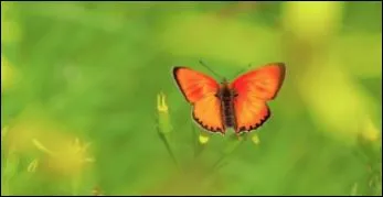 Trên đời này thì người có thể cùng bạn đi lâu nhất chỉ có người bạn đời mà thôi. (ảnh minh họa)