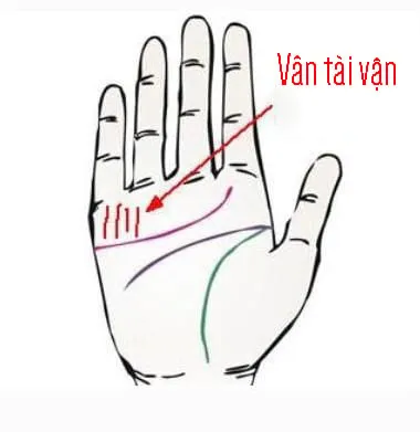 duong-van-trong-long-ban-tay-3