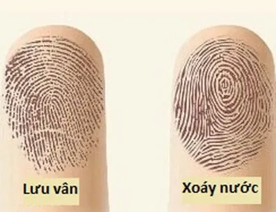 van-tay phunutoday.vn