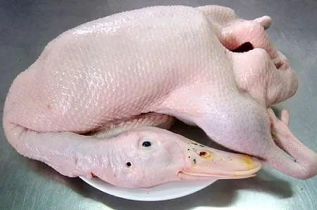 Ngan sống làm sạch