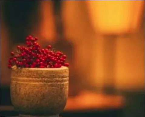Biết ơn những người đã làm tổn thương ta, khiến ta tôi luyện được ý chí. (ảnh minh họa)