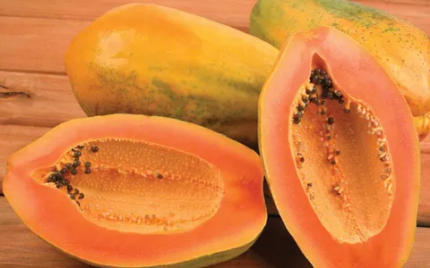 papaya-papita-1441469459249-crop1441469477149p