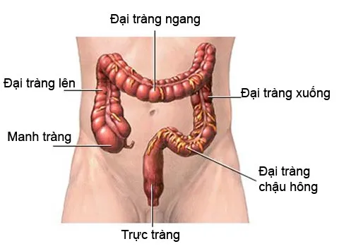 ung-thu-truc-trang