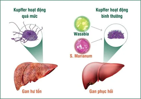 thuc-pham-ban