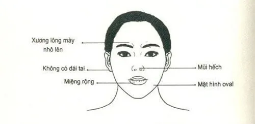 phu-nu-ngheo-kho-ca-doi-lo-nghi-so-huu-6-net-tuong-tan-loc-6815f