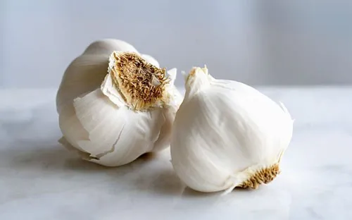 garlic-2