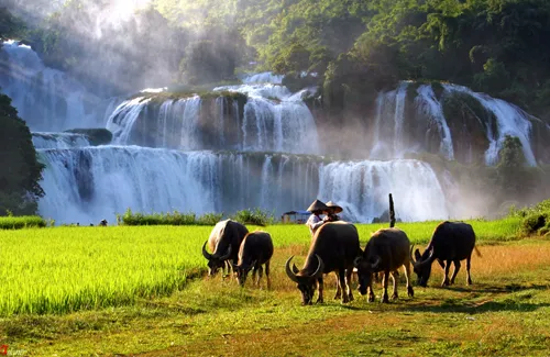 6.nhung-dia-diem-du-lich-o-cao-bang-trong-ngay-30-4-1-5-1-phunutoday.vn