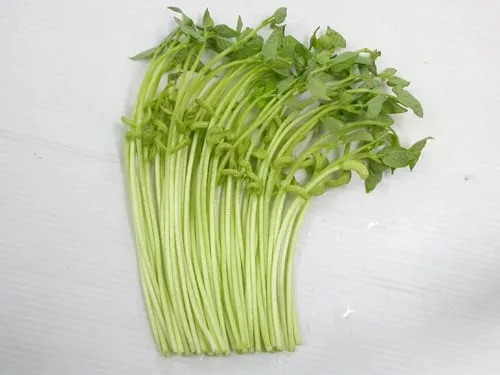 13.huong-dan-trong-rau-mam-dau-cove-tuoi-ngon-1-phunutoday.vn