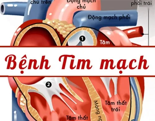 neu-co-nhung-bieu-hien-nay-phu-nu-can-bo-sung-omega 3-ngay-lap-tuc2