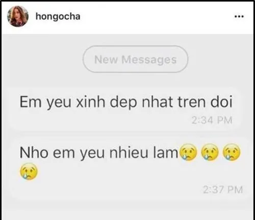 ho-ngoc-ha 3