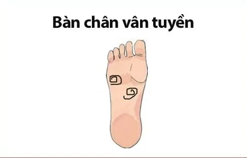 tuong-ban-chan-phu-quy-01