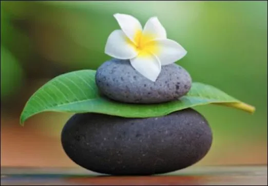 Các cụ vẫn nói có lương thực ngàn gánh cũng chỉ ăn 3 bữa, có căn nhà lớn thì cũng chỉ ngủ trên 1 chiếc giường, (ảnh minh họa)