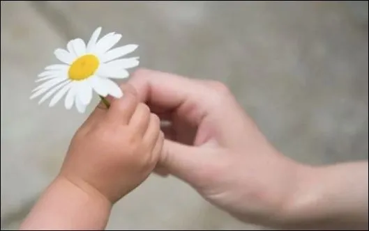 Lòng biết ơn sẽ giúp chúng ta lĩnh ngộ được sự tươi đẹp của ánh mặt trời (ảnh minh họa)