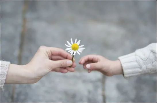 Họ làm việc chăm chỉ nhưng cũng dành thời gian để thư giãn và giải trí. (ảnh minh họa)