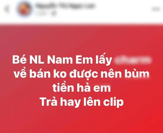 Nam Em bất ngờ bị tố
