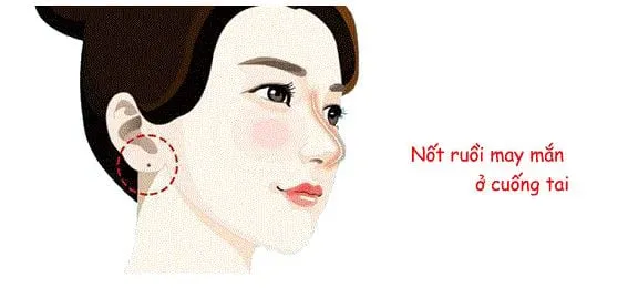 not-ruoi-03