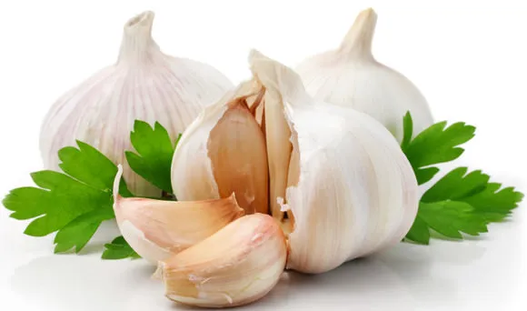 garlic-with-parsley-leaves