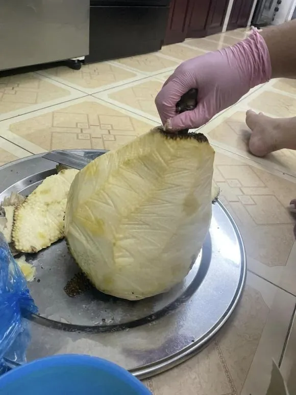 Mít là loại quả được nhiều người yêu thích vào mùa hè, có thể ăn tươi, làm sinh tố, bánh, mứt hoặc dùng trong các món chè.