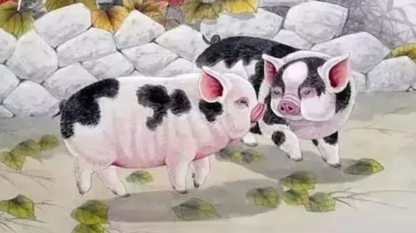 hoi