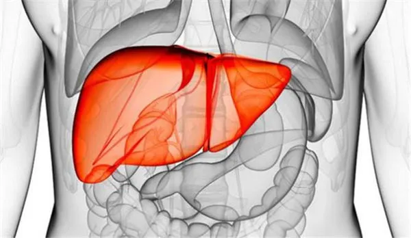 Việc nhịn tiểu lâu có thể ảnh hưởng đến chức năng của bàng quang, thận và gan.