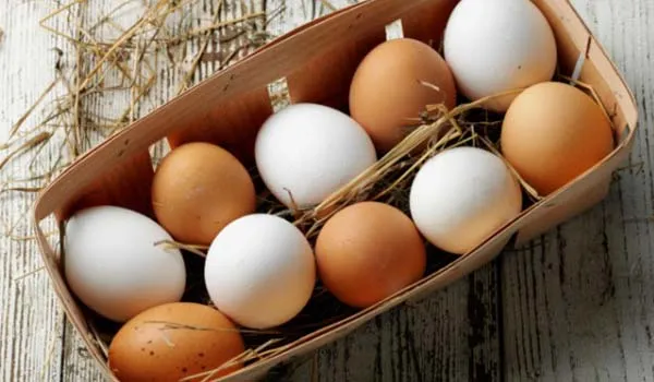 eggs-600_600x350_81428644