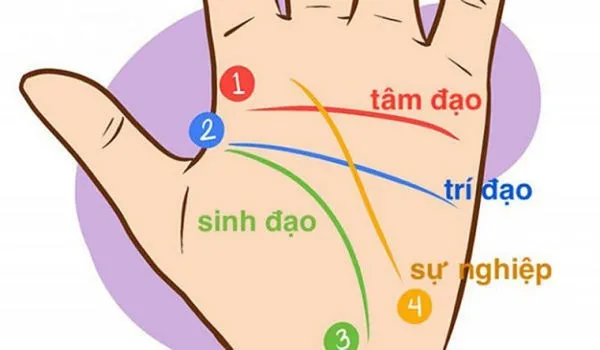 3-duong-chi-tay-phat-tai-01