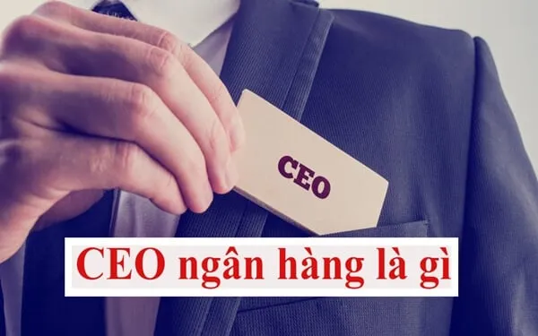 ceo-ngan-hang-la-gi-2