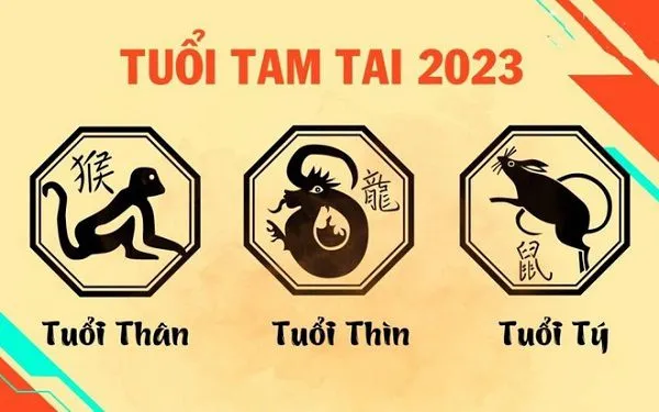 con-giap-tam-tai