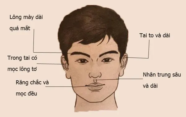 xem-tuong-dan-ong-tai-loc-phunutoday-1658-ISJR