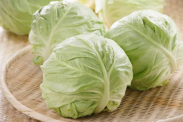 rau-bap-cai-phunutoday.vn