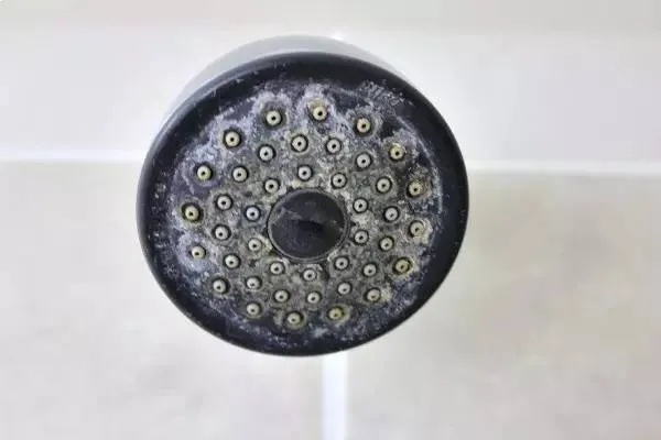 lam-sach-voi-hoa-sen-01