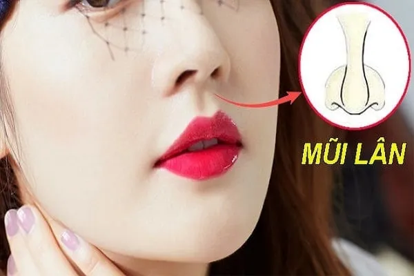 Dáng mũi tài lộc không chỉ giúp nâng tầm nhan sắc mà còn thay đổi vận mệnh giàu sang phú quý, mang lại nhiều may mắn trong sự nghiệp.