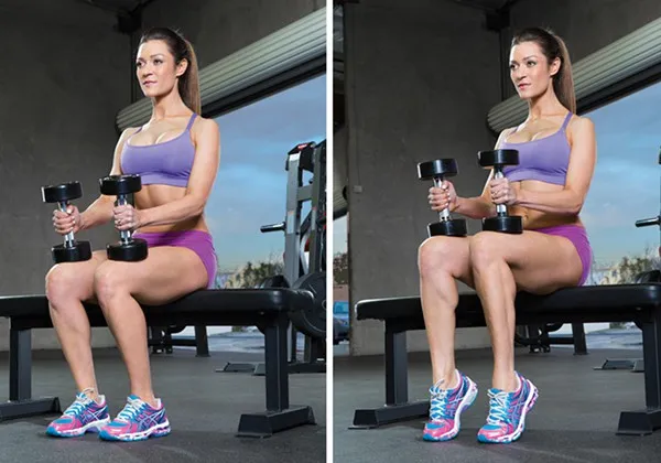 bai-tap-dumbbell-seated-calf-raise