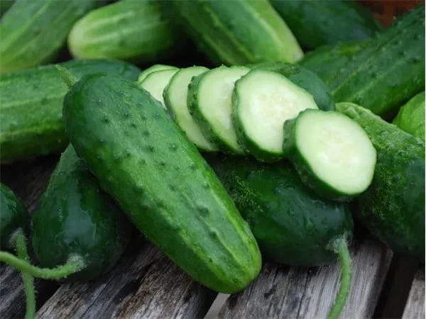 Cucumber-Boston-Pickling