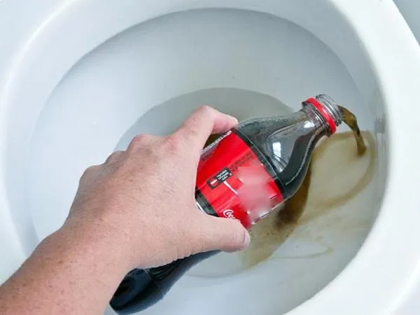 hoa-muoi-voi-coca-03