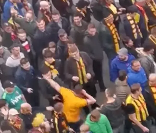 Wolves thua trận, fan điên loạn một mình đấm hàng loạt CĐV Watford - Bóng Đá