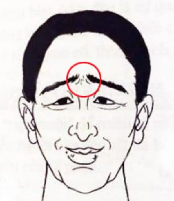 tuong-dan-ong-vat-va-02