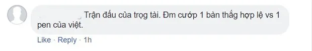 NHM 'sôi máu' khi tuyển Việt Nam bị trong tài cướp bàn thắng - Bóng Đá
