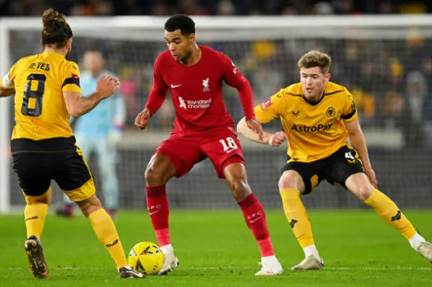 ảnh reviews Wolves vs Liverpool - Bóng Đá